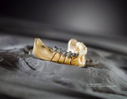 Сава Кирилов