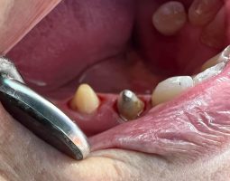 Д-р Христина Алексиева