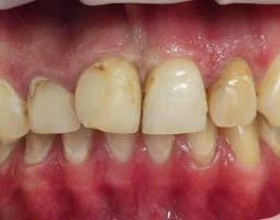 Д-р Росица Кокудева