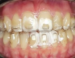 Д-р Росица Кокудева