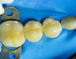 Д-р Росица Кокудева