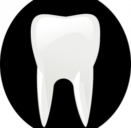 Майя Марчева